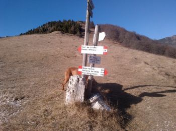 Randonnée A pied Brentino Belluno - Belluno Veronese - Passo del Cerbiolo - Photo