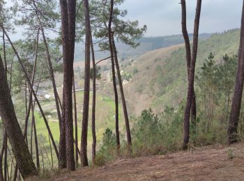 Trail Walking Saint-Léonard-des-Bois - Saint Léonard des Bois - 30 mars 2022 - Photo