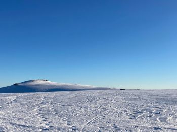 Randonnée Raquettes à neige Curières - Mon plus bel Aubrac  - Photo