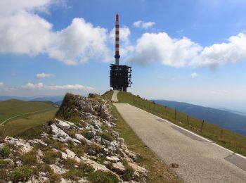 Percorso A piedi Villeret - Combe Grède - Chasseral - Photo