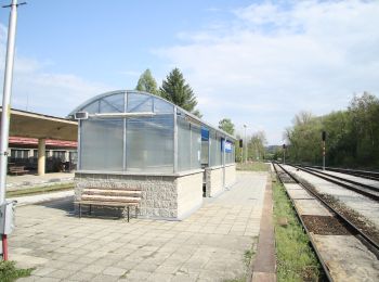 Excursión A pie Dolní Heřmanice - naučná stezka Trasa Nesměřským údolím - Photo