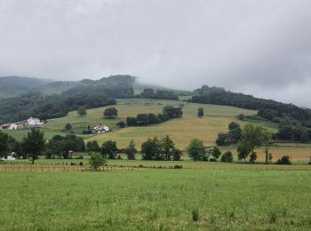 Randonnée Marche Bussunarits-Sarrasquette - Bussunarits Sarrasquette - 6.5 kms - Photo