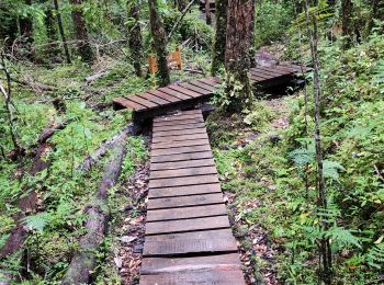 Trail Walking Chile Chico - Glaciar Exploradores - Photo