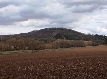 Randonnée A pied Vroutek - NS Stezka lesů ČR - Photo