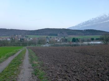 Randonnée A pied Grasellenbach - Rundwanderweg Wahlen 4: Rundwanderweg Wahlen - Photo