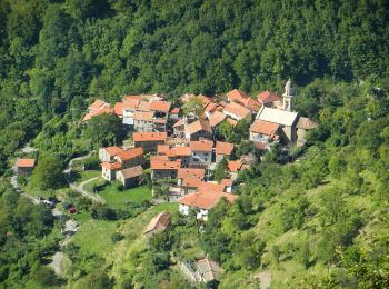 Tour Zu Fuß Valbrevenna - Tonno - Piancassina - Photo