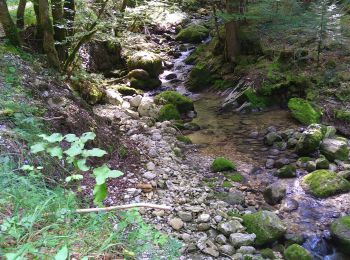 Tocht Stappen Coiserette - Coiserette Gouffre Picard - Photo