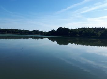 Tocht Stappen Lassay-sur-Croisne - lassay Dede 08/20 - Photo