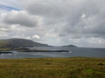 Tocht Te voet Kenmare Municipal District - Bray Head Loop - Photo