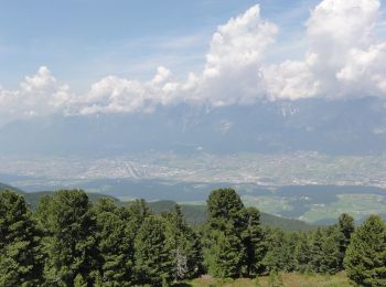 Tour Zu Fuß Gemeinde Patsch - Zirbenweg - Photo