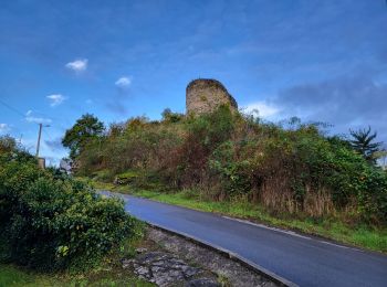 Tocht Stappen Wanze - Moha 241023 - Photo