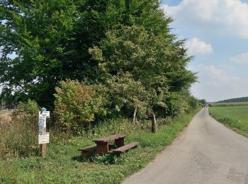 Percorso A piedi Wincrange - Autopédestre Hachiville - Photo