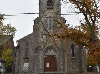 Randonnée Marche Fernelmont - 20211116 - TOTEMUS Hingeon 5.3 Km - Photo