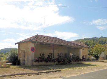 Tour Zu Fuß Tramont-Lassus - Circuit du Brénon - Photo