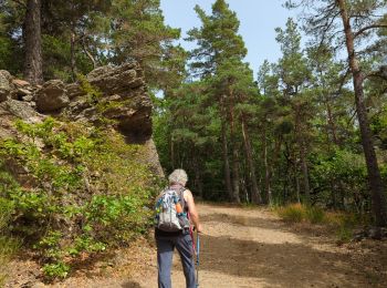 Excursión Senderismo Chadenet - La Loubière - Lanuéjols  - Photo