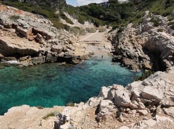 Tocht Stappen Bandol - Bandol, baie des nations  - Photo