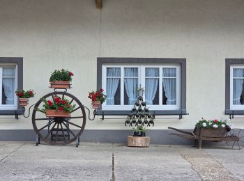 Percorso Marcia Parc Hosingen - Éislek Pad Hoscheid - Photo