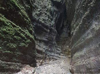 Randonnée Marche Aspremont - VALLONS OBSCURS  - Photo