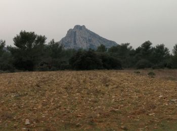 Randonnée Marche Eygalières - Les Alpilles au dessus d'Eygalieres - Photo