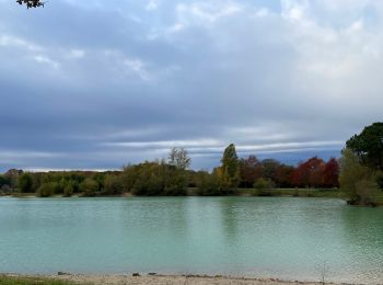 Trail Walking Canéjan - Le lac vert - canejan  - Photo