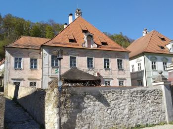 Excursión A pie Breitenbrunn - Wasserbüffelweg - Photo