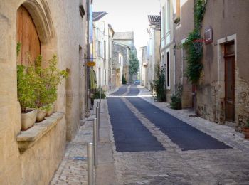 Randonnée Vélo électrique La Réole - La Réole - St Macaire - Photo