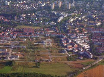 Randonnée A pied Holzgerlingen - Holzweg - Photo