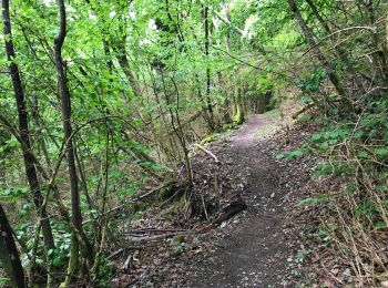 Tocht Stappen Varces-Allières-et-Risset - Chemin Chabloz retour - Photo