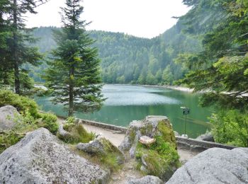 Randonnée Marche La Bresse - SityTrail - Le Lac des Corbeaux - La Bresse - Photo