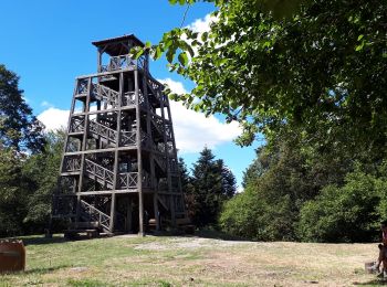 Tocht Te voet Deux-Grosnes - Mont Saint-Rigaud (14 km - D. 447 m) - Photo