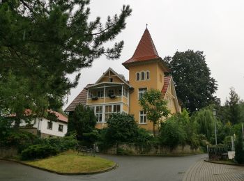 Percorso A piedi Quedlinburg - Forstbotanischer Wanderweg Gernrode - Photo