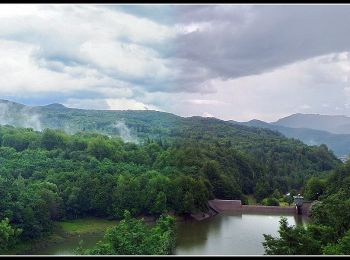 Randonnée A pied Baia Mare - Baraj Firiza - Canalul de apă - Valea Vicleanul Mare - Photo