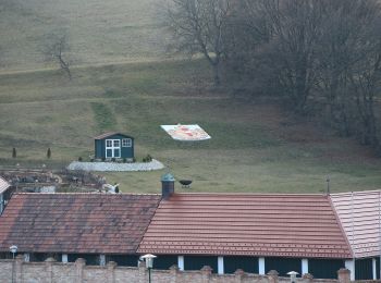 Tocht Te voet Gemeinde Hernstein - Bahnhaltestelle Dreistetten - Alkersdorf - Markt Piesting - Photo