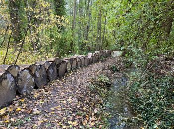 Randonnée Marche Bierbeek - Bierbeek 23 km 2020 - Photo