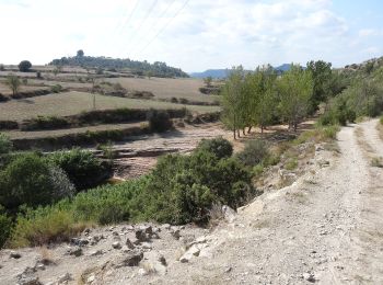 Trail On foot Manresa - M3 - Itinerari Els pous de glaç i la riera de Guardiola - Photo