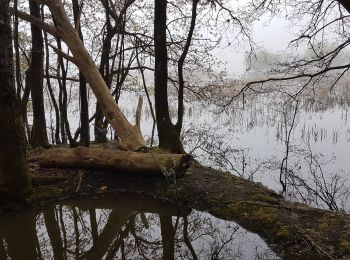 Excursión Senderismo Haute-Goulaine - les Grenouilles  - Photo