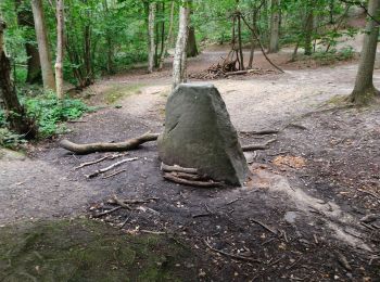 Tocht Stappen Meudon - De Meudon à Igny via foret de Verrrières - Photo