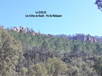 Tocht Stappen Le Muy - Pic du Castel Diaou - Fille d'Isnard - Pic Rébéquier - Photo