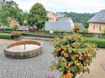 Percorso A piedi Zschopau - Ww Zschopau - Krumhermersdorf, Markierung mangelhaft - Photo