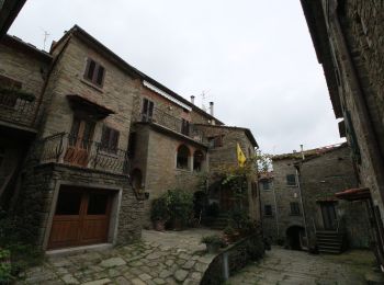 Percorso A piedi Loro Ciuffenna - La Via del Castagno - Photo