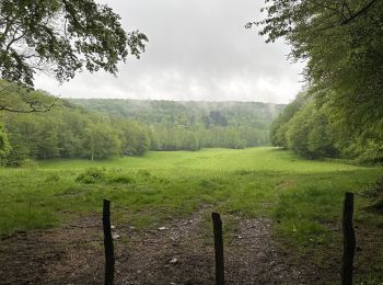 Tour Wandern Vallerois-le-Bois - VALLEROIS LE BOIS - LA MAISON DU VAU - VALLEROIS LE BOIS  - Photo