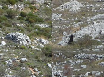 Tocht Stappen Tourrettes-sur-Loup - Puy de Naouri de Tourrettes sur Loup - Photo