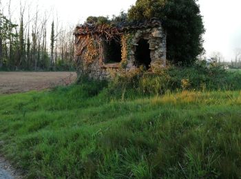 Randonnée Marche Loriol-sur-Drôme - Château de la Gardette  - Photo