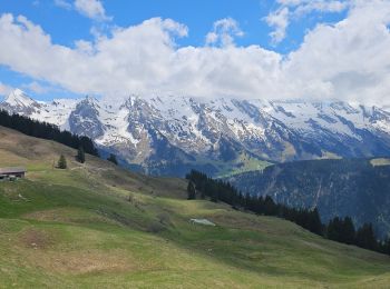 Randonnée V.T.T. Le Grand-Bornand - Balcon des Aravis - Photo