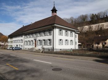 Tour Zu Fuß Känerkinden - Känerkinden - Gisiberg - Photo