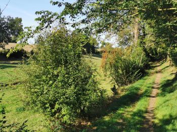 Randonnée V.T.T. Baron-sur-Odon - VTT Pré-Bocage 44 km - Photo