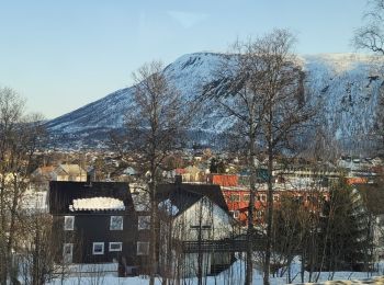 Tocht Stappen  - tromso_1 - Photo