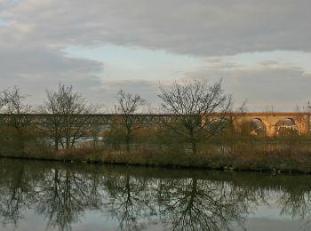 Tour Zu Fuß  - W 07 Regensburg - Eichhofen (Blaues Dreieck) - Photo