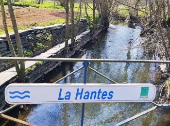 Randonnée Marche Erquelinnes - Promenade au bord de la Hantes  - Photo