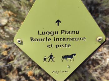 Trail Walking Palasca - Agriates - Photo